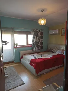 Casă 5 camere Popești-Leordeni - poza 19