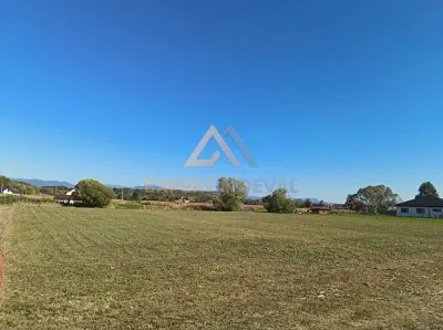 Teren Catalina - poza 3