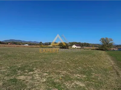Teren Catalina - poza 4