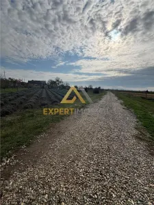 Teren extravilan de vanzare in Hideaga – 8.400 mp, aproape de drumul principal! - Hideaga