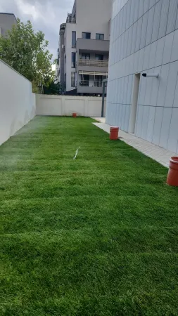 Casă 6 camere Voluntari - poza 28