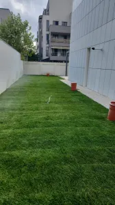 Casă 6 camere Voluntari - poza 28