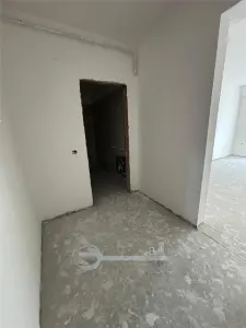 Apartament 1 camera Valea Lupului - poza 2