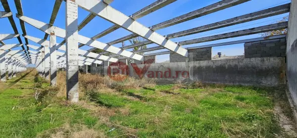 Spațiu industrial Vânători - poza 6