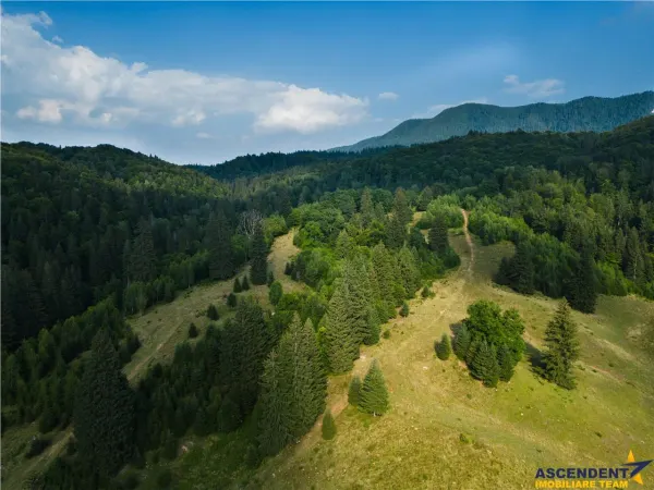Teren Brașov - poza 2