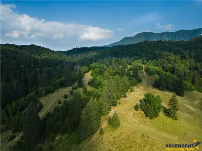 Teren Brașov - poza 2