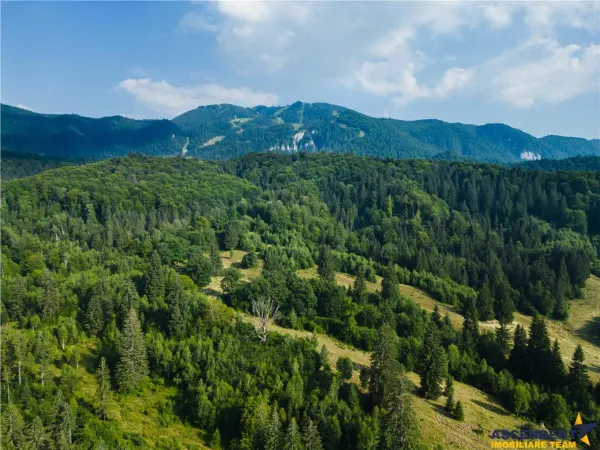 Teren Brașov - poza 5