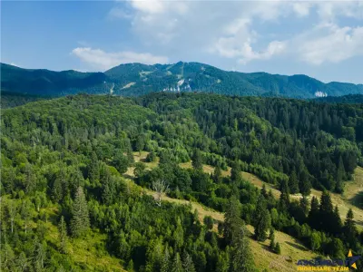 Teren Brașov - poza 5