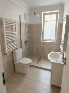 Apartament 1 camera Giroc - poza 3