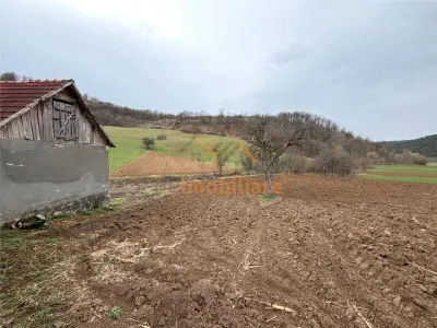 Casă 4 camere Calatea - poza 17