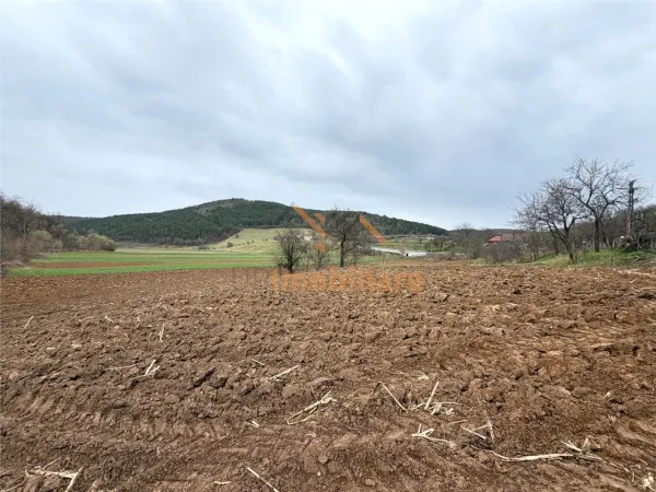 Casă 4 camere Calatea - poza 18