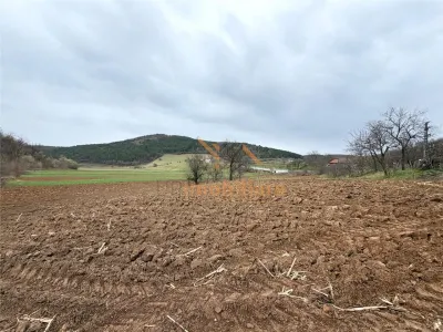 Casă 4 camere Calatea - poza 18