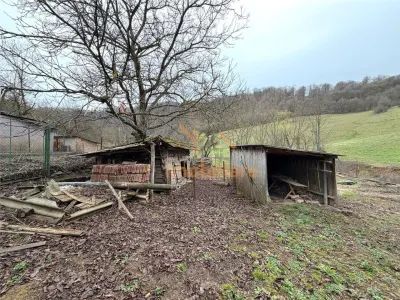 Casă 4 camere Calatea - poza 19