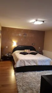 Apartament 5 camere Popești-Leordeni - poza 17