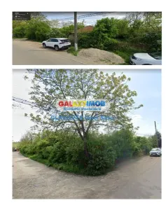 Teren 2100 mp Videle Tamasesti str. Plantelor Principala - Videle