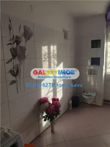 Casă 12 camere Tatarastii de Jos - poza 2