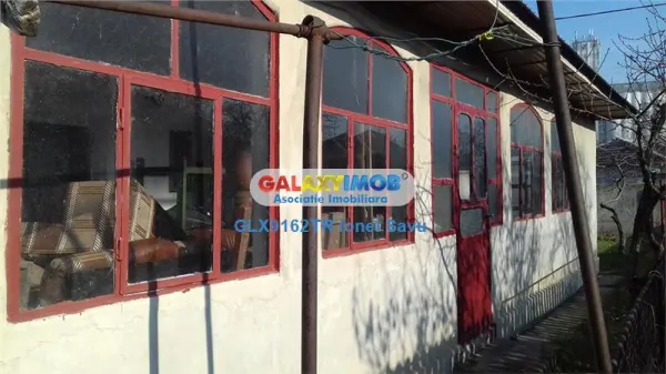 Casă 5 camere Rosiori de Vede - poza 3