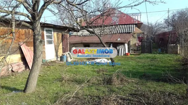 Casă 5 camere Rosiori de Vede - poza 4