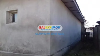 Casă 5 camere Rosiori de Vede - poza 5