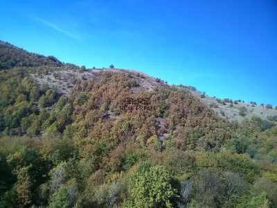 Teren Valisoara - poza 2