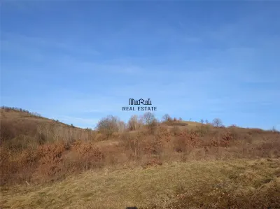 Teren Valisoara - poza 4