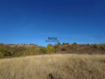 Teren Valisoara - poza 6