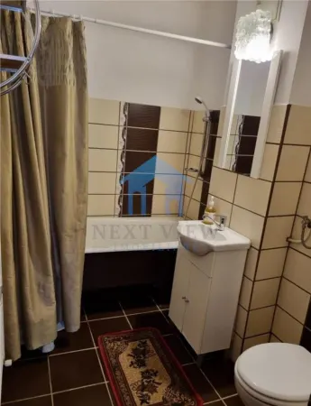 Apartament 1 camera Cluj-Napoca - poza 2