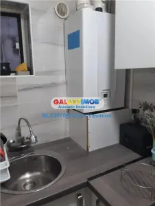 Apartament 2 camere București - poza 4