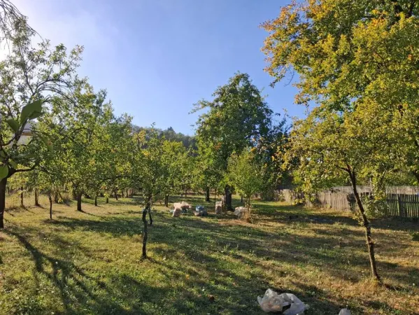 Casă 4 camere Retevoiesti - poza 1