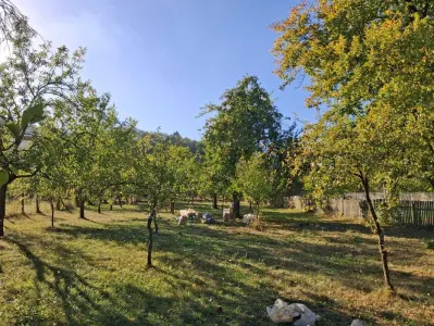Vand casa batraneasca din caramida pe structura solida - Retevoiesti