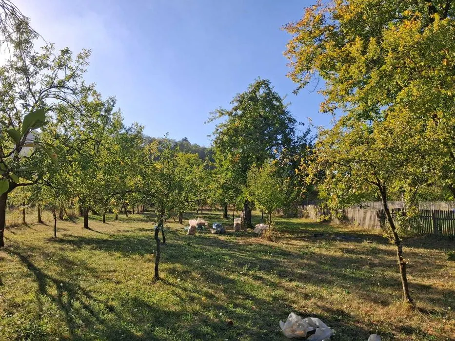 Casă 4 camere Retevoiesti - poza 1