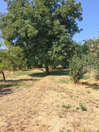 Casă 4 camere Retevoiesti - poza 7