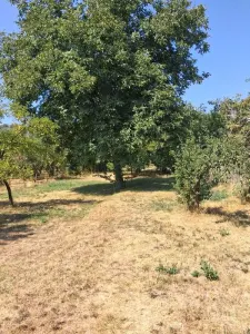 Casă 4 camere Retevoiesti - poza 7