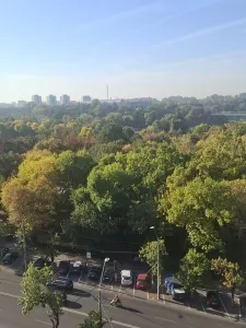 Apartament 4 camere. Vedere Parc Tineretului.  2 bai, 2 balcoane.  5 min Metrou. - Bucuresti