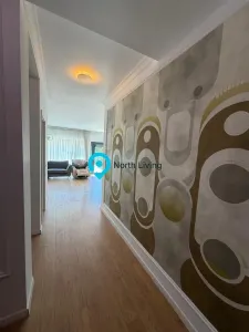 Casă 5 camere Voluntari - poza 9