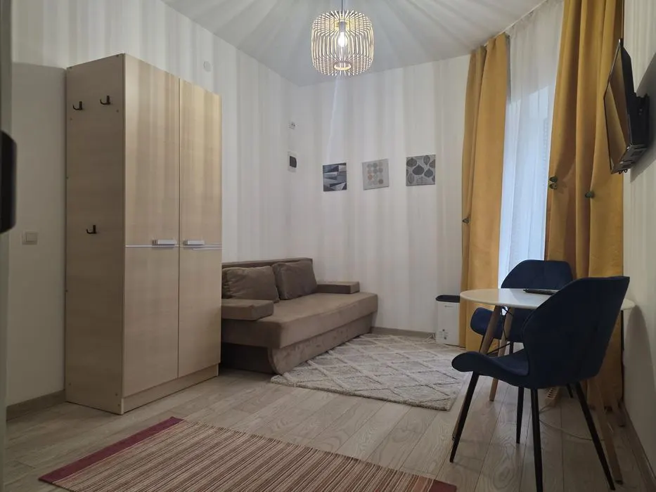Apartament 1 camera Iași - poza 1