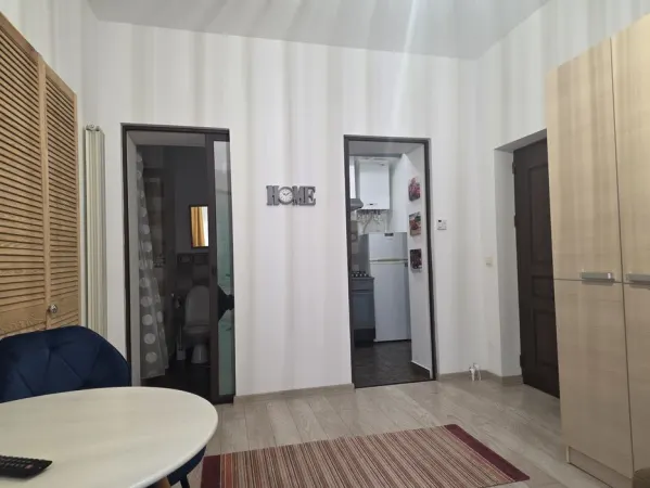 Apartament 1 camera Iași - poza 4