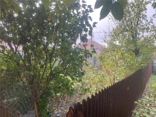 Casă 2 camere Bacău - poza 16