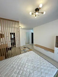 Apartament 1 cameră | Conest Evolution Dacia | Parcare | Contract ANAF | Disponibil 1 decembrie - Iasi