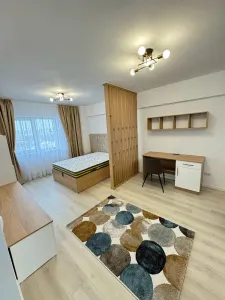 Apartament 1 camera Iași - poza 5
