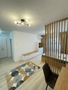 Apartament 1 camera Iași - poza 7