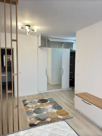 Apartament 1 camera Iași - poza 8