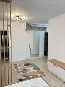 Apartament 1 camera Iași - poza 8