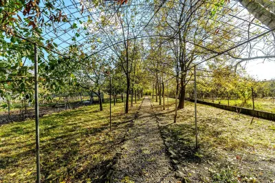 Casă 5 camere Arad - poza 2