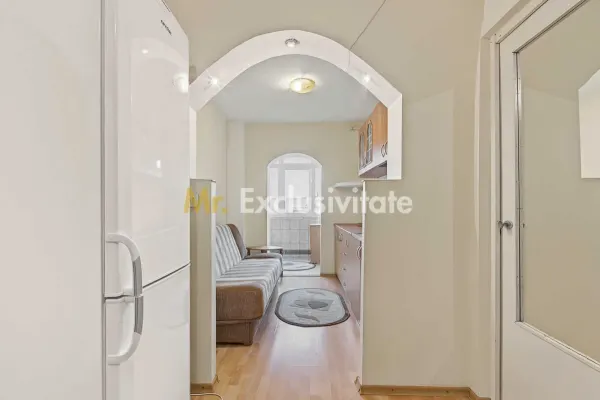 Apartament 2 camere Mioveni - poza 3