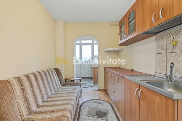 Apartament 2 camere Mioveni - poza 4