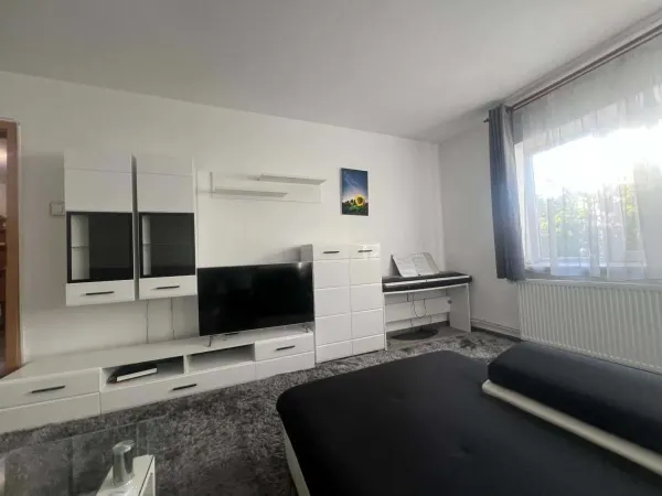Apartament 3 camere Timișoara - poza 5
