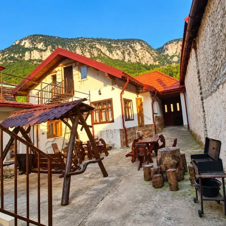 Casă 5 camere Băile Herculane - poza 2