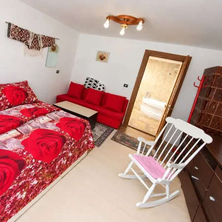 Casă 5 camere Băile Herculane - poza 13