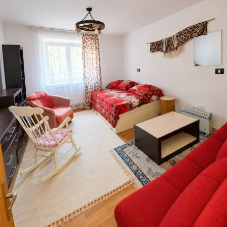 Casă 5 camere Băile Herculane - poza 9